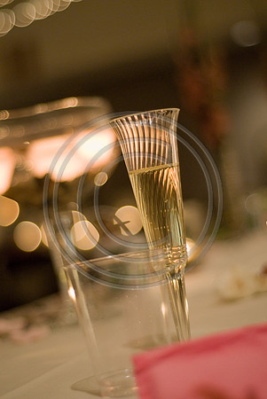 20080517-mauharfilbeck0980
