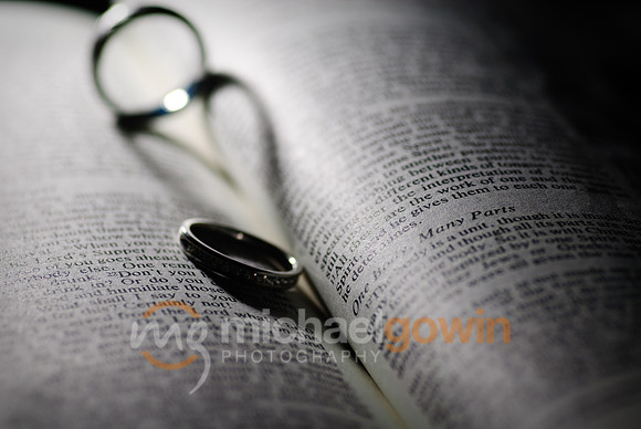 20090530-stevenswedding0724