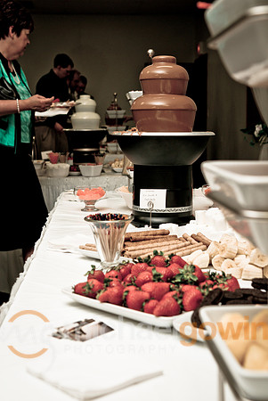 20090530-stevenswedding0612