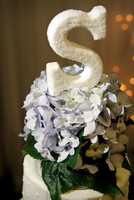 20090530-stevenswedding0602