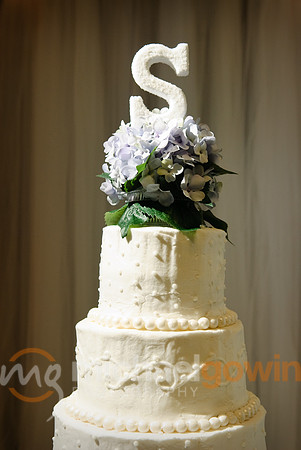 20090530-stevenswedding0597